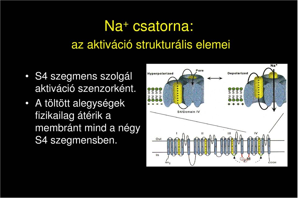 szenzorként.