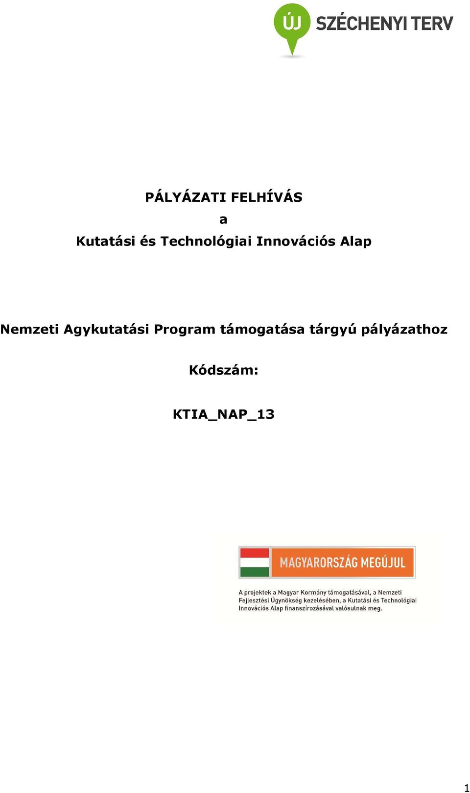 Nemzeti Agykutatási Program