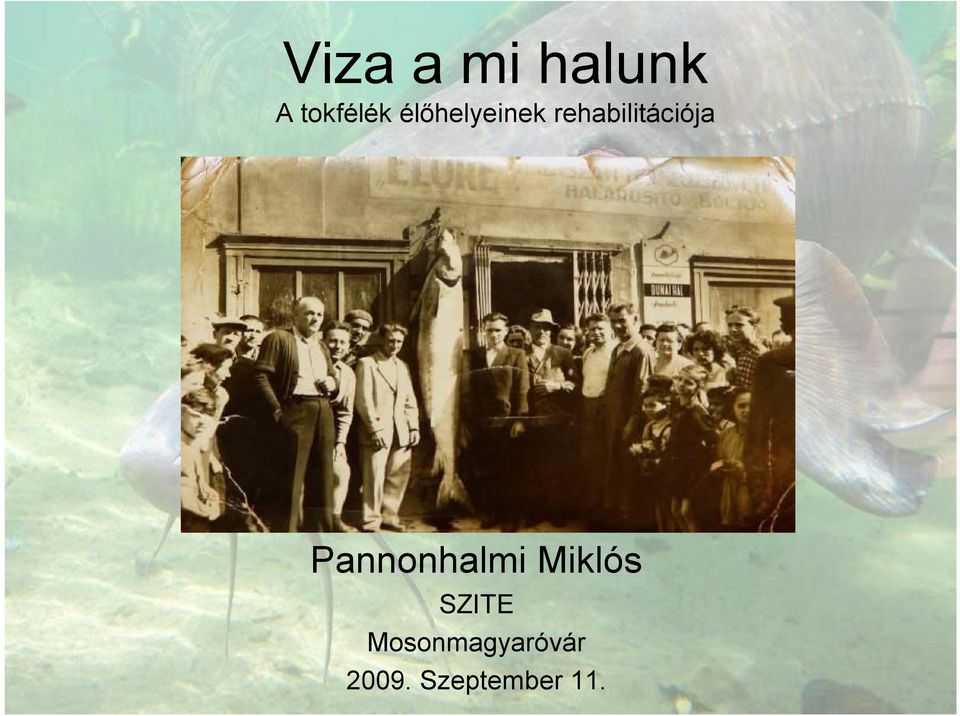 Pannonhalmi Miklós SZITE