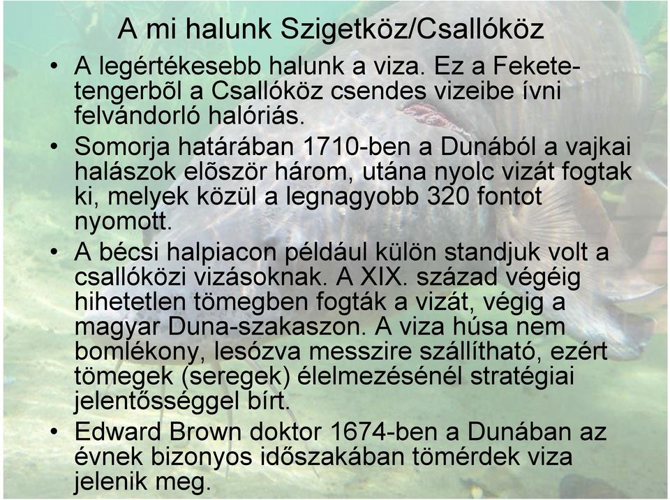 A bécsi halpiacon például külön standjuk volt a csallóközi vizásoknak. A XIX. század végéig hihetetlen tömegben fogták a vizát, végig a magyar Duna-szakaszon.