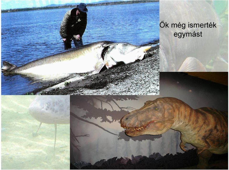 egymást