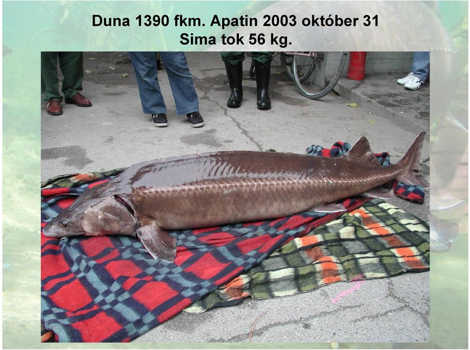 október 31
