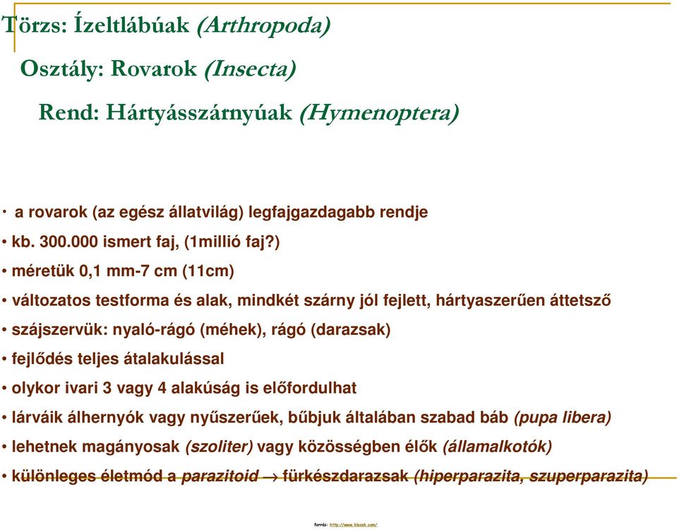 ) méretük 0,1 mm-7 cm (11cm) változatos testforma és alak, mindkét szárny jól fejlett, hártyaszerően áttetszı szájszervük: nyaló-rágó (méhek), rágó (darazsak) fejlıdés