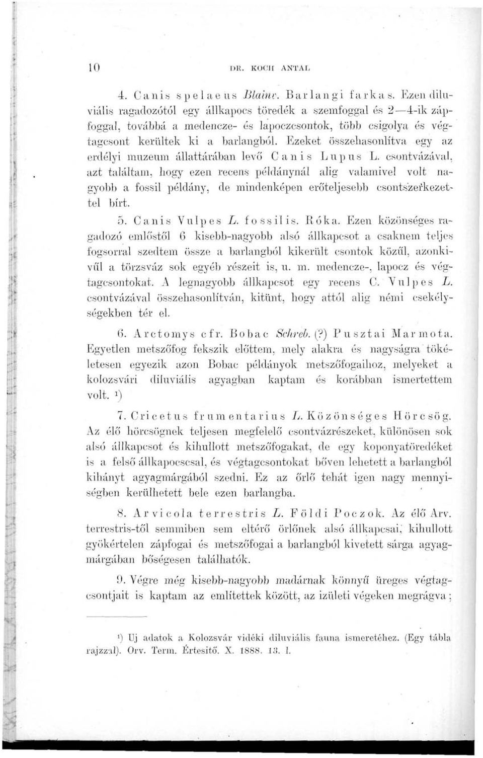 Ezeket összehasonlítva egy az erdélyi múzeum állattárában levő Canis Lupus L.
