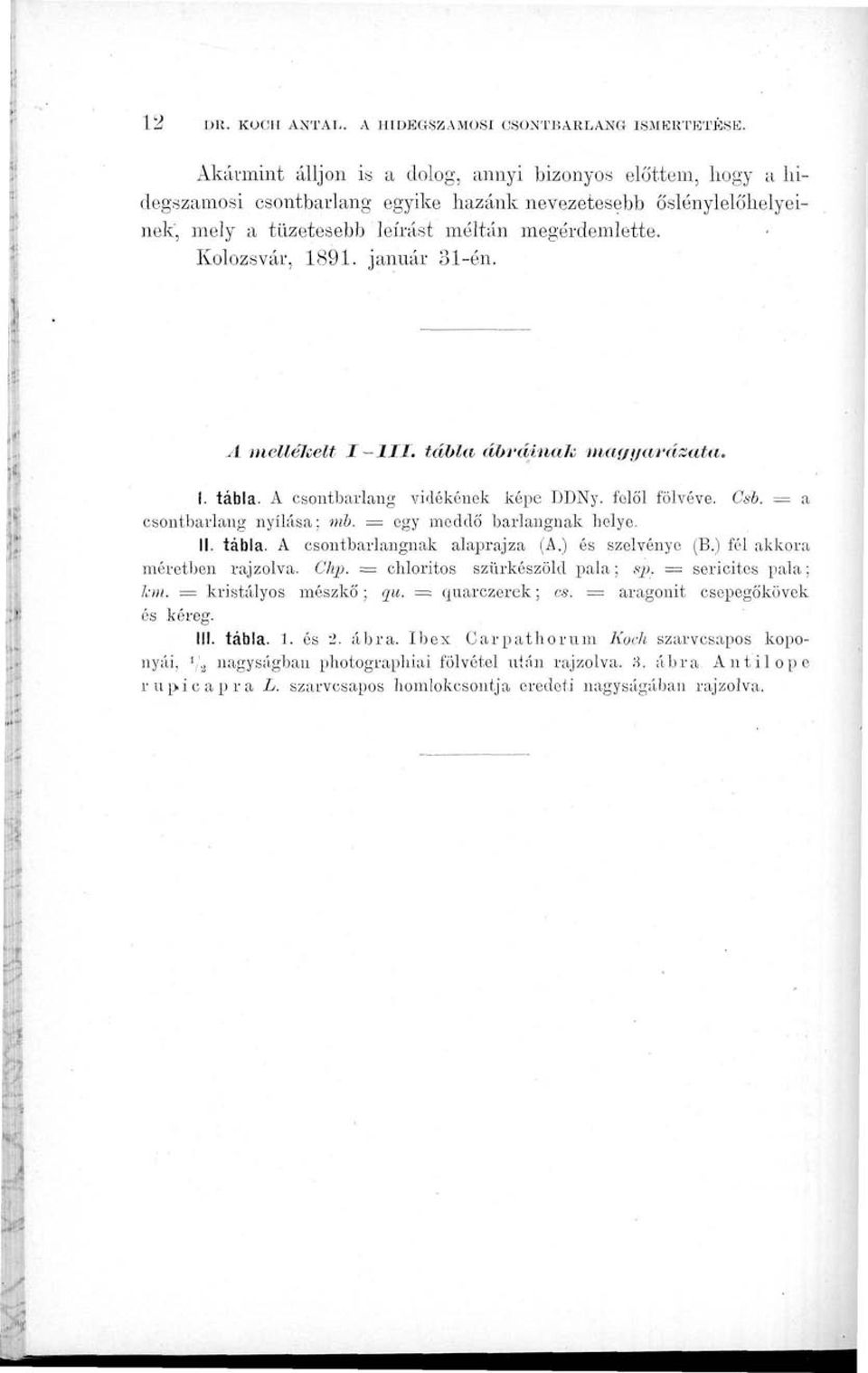 január 31-én. A mellékelt I-1II. tábla ábráinak magyarázata, I. tábla. A csontbarlang vidékének képe DDNy. felől fölvéve. Csb. = a csontbarlang nyílása; mb. = egy meddő barlangnak helye. II. tábla. A csontbarlangnak alaprajza (A.