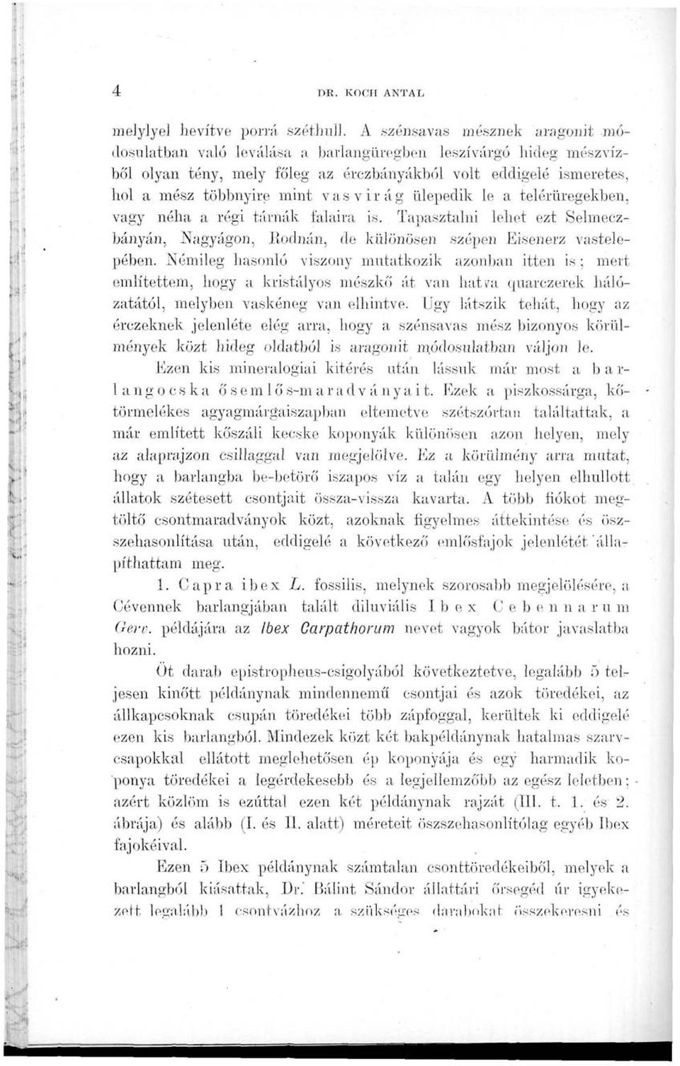 vasvirág ülepedik le a telérüregekben, vagy néha a régi tárnák falaira is. Tapasztalni lehet ezt Selmeczbányán, Nagyágon, Rodnán, de különösen szépen Eisenerz vastelepében.