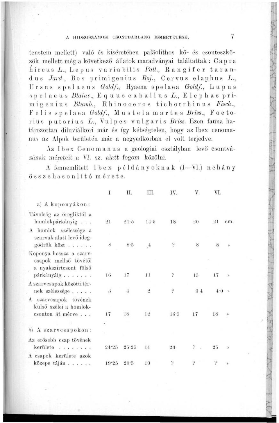 , Elephas primigenius Blumb., Rhinoceros tichorrhinus Fisch., Felis spelaea Goldf, M u s t e 1 a martes Briss., Poetor i u s p u t o r i u s L., V u 1 p e s vulgáris Briss.