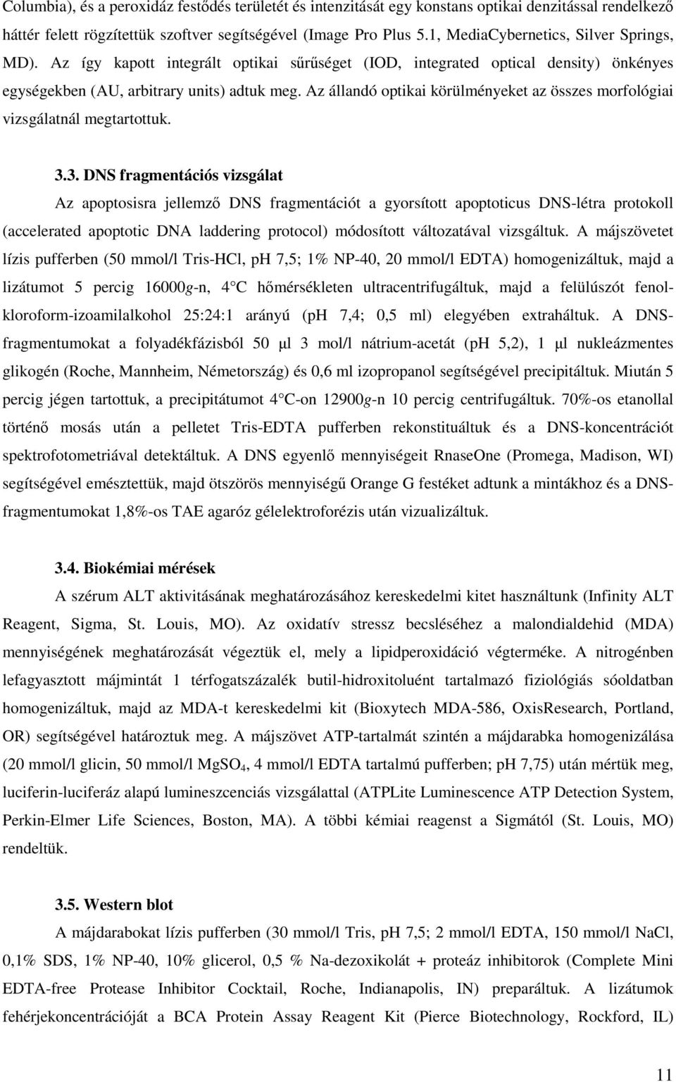 Az állandó optikai körülményeket az összes morfológiai vizsgálatnál megtartottuk. 3.