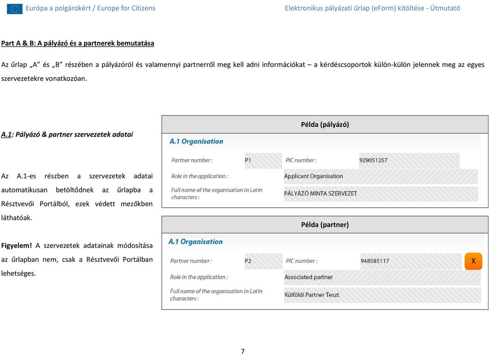 1: Pályázó & partner szervezetek adatai Példa (pályázó) Az A.