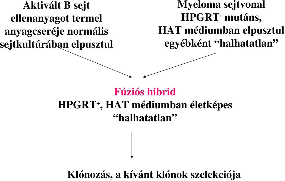 anyagcseréjenormális sejtkultúrábanelpusztul Fúzióshibrid
