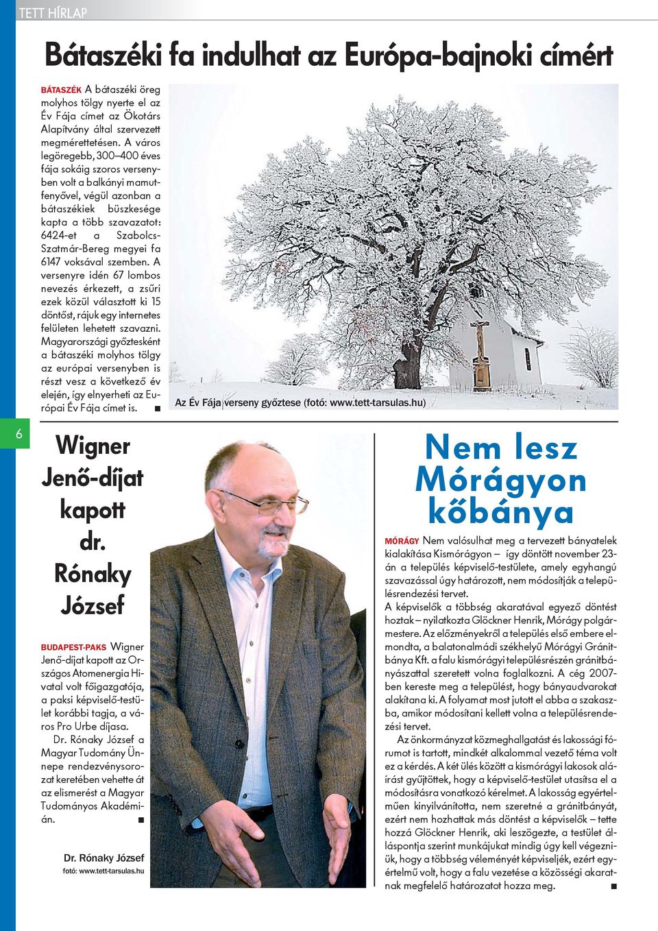 fa 6147 voksával szemben. A versenyre idén 67 lombos nevezés érkezett, a zsûri ezek közül választott ki 15 döntõst, rájuk egy internetes felületen lehetett szavazni.