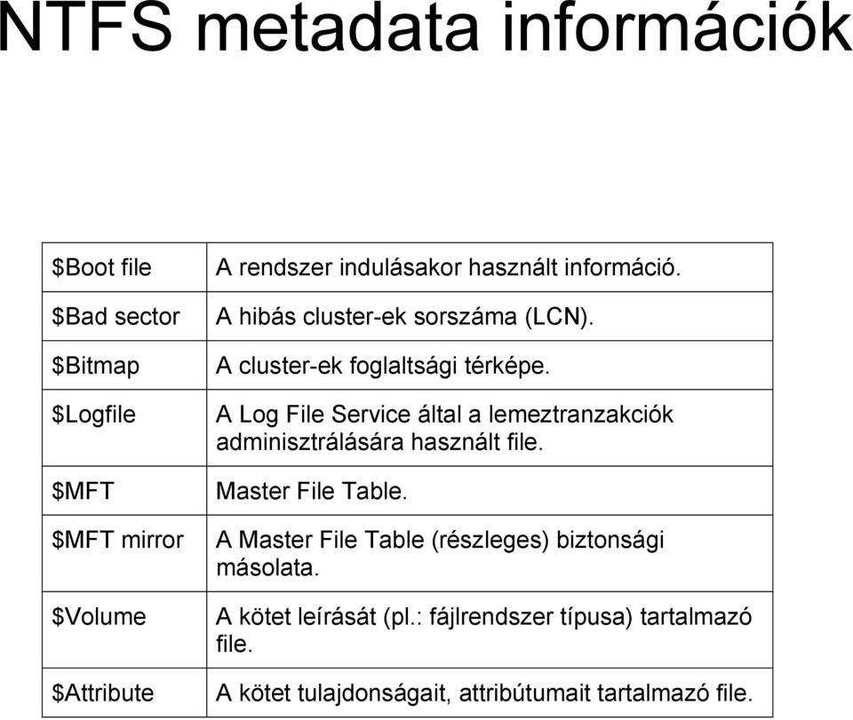 A Log File Service által a lemeztranzakciók adminisztrálására használt file. Master File Table.