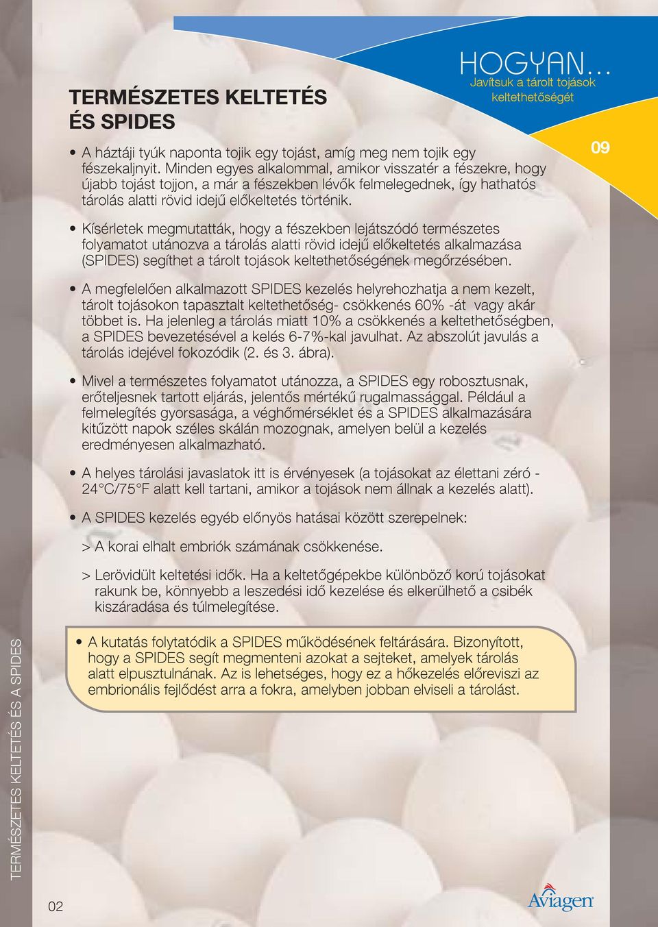 KELTETHET SÉG JAVÍTÁSA A TÁROLÁS ALATTI RÖVID IDEJ EL KELTETÉS  ALKALMAZÁSÁVAL (SPIDES SHORT PERIODS OF INCUBATION DURING EGG STORAGE) -  PDF Free Download