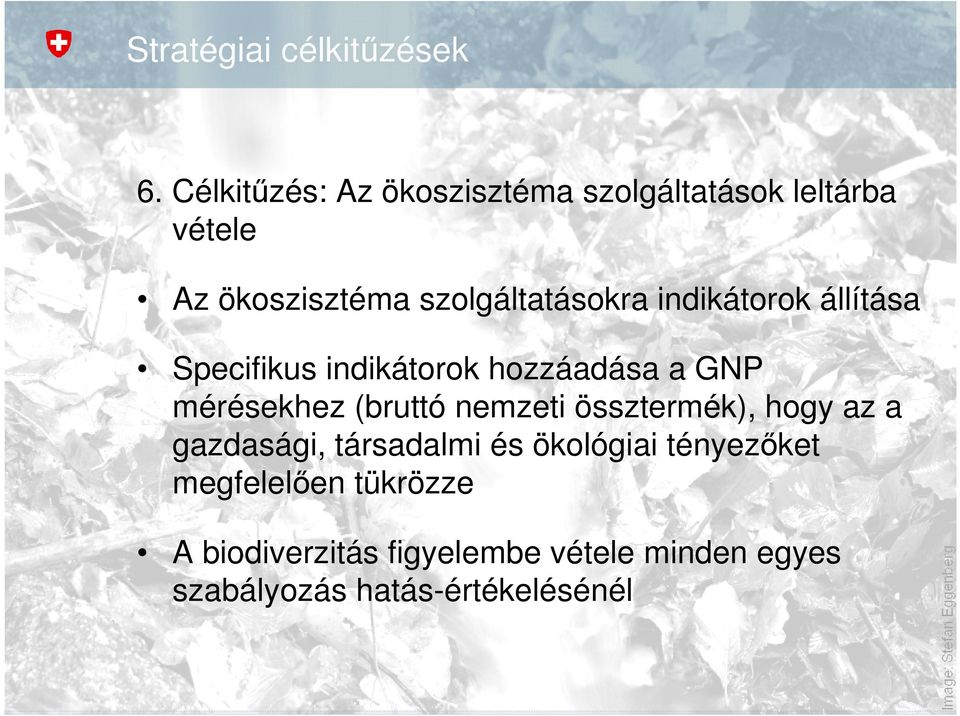 indikátorok állítása Specifikus indikátorok hozzáadása a GNP mérésekhez (bruttó nemzeti