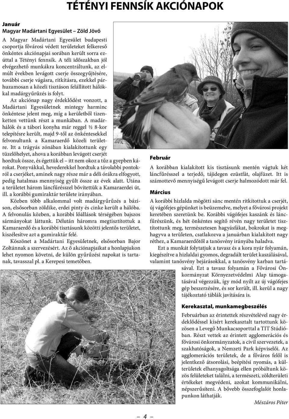 A téli időszakban jól el végezhető munkákra koncentráltunk, az elmúlt években levágott cserje összegyűjtésére, további cserje vágásra, ritkításra, ezekkel párhuzamosan a közeli tisztáson felállított