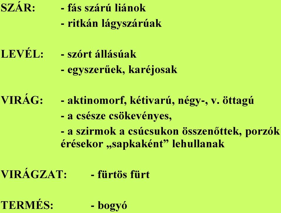 öttagú - a csésze csökevényes, - a szirmok a csúcsukon összenőttek,