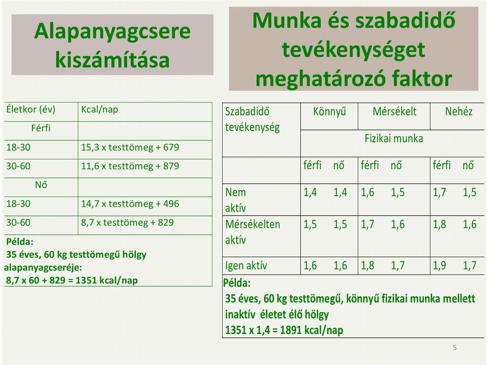 Mérsékelten aktív tevékenységet meghatározó faktor Könnyű Mérsékelt Nehéz Fizikai munka férfi nő férfi nő férfi nő 1,4 1,4 1,6 1,5 1,7 1,5 1,5 1,5 1,7 1,6