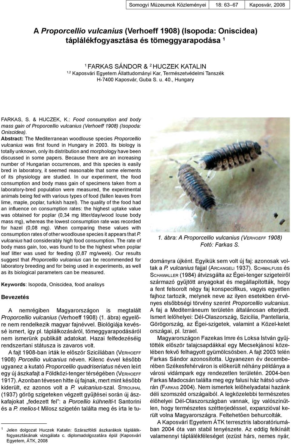 : Food consumption and body mass gain of Proporcellio vulcanius (Verhoeff 1908) (Isopoda: Oniscidea).