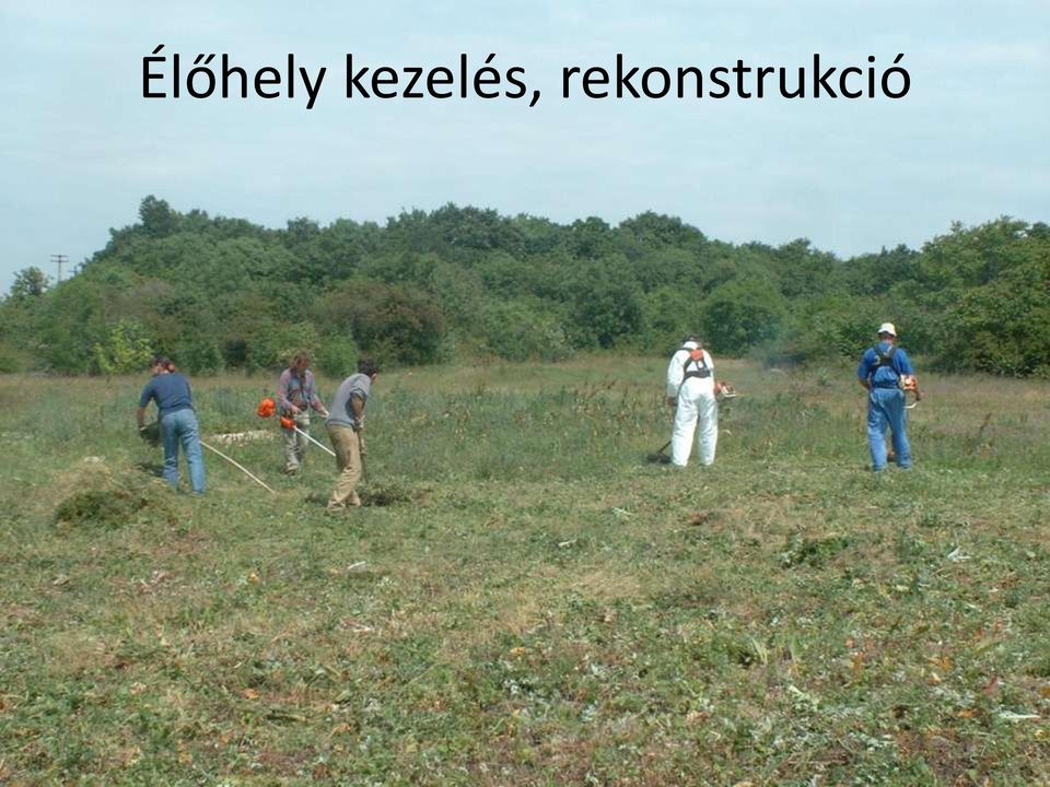 rekonstrukció