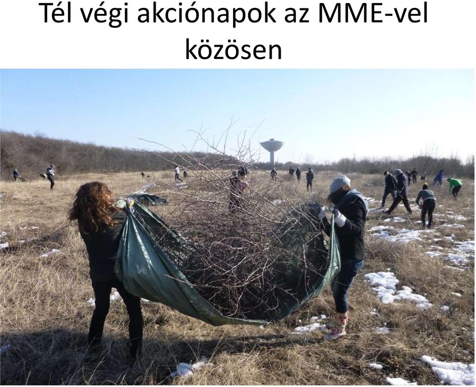 MME-vel közösen