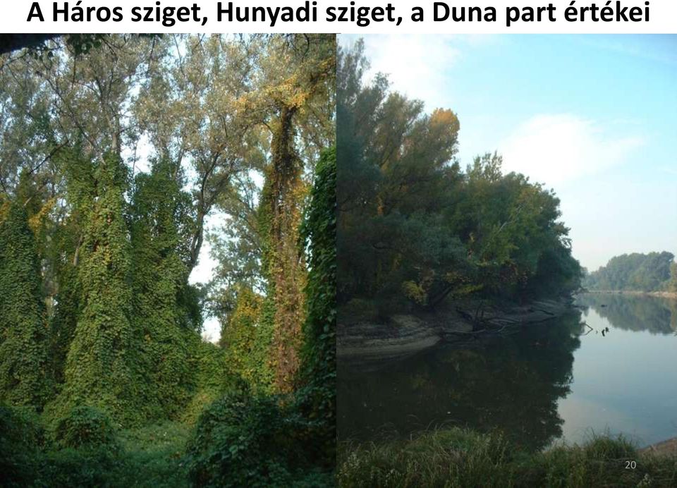 Duna part értékei