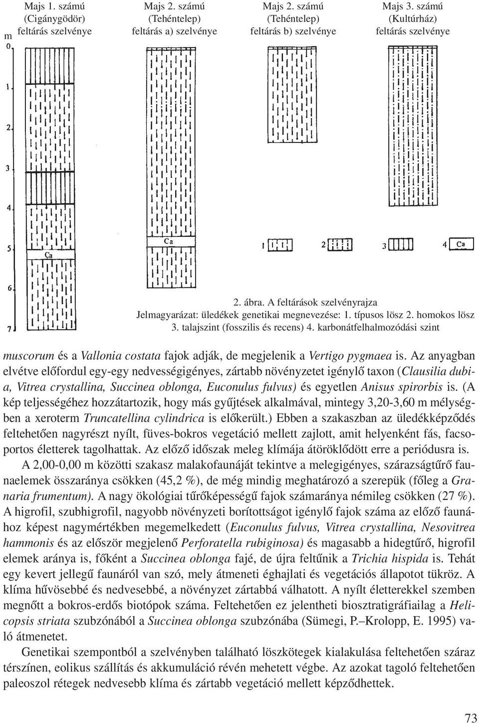 karbonátfelhalmozódási szint muscorum és a Vallonia costata fajok adják, de megjelenik a Vertigo pygmaea is.