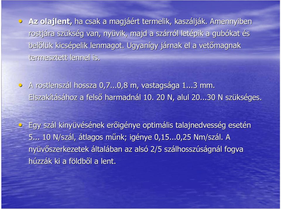 Ugyanígy járnak el a vetımagnak termesztett lennel is. A rostlenszál hossza 0,7...0,8 m, vastagsága 1...3 mm.