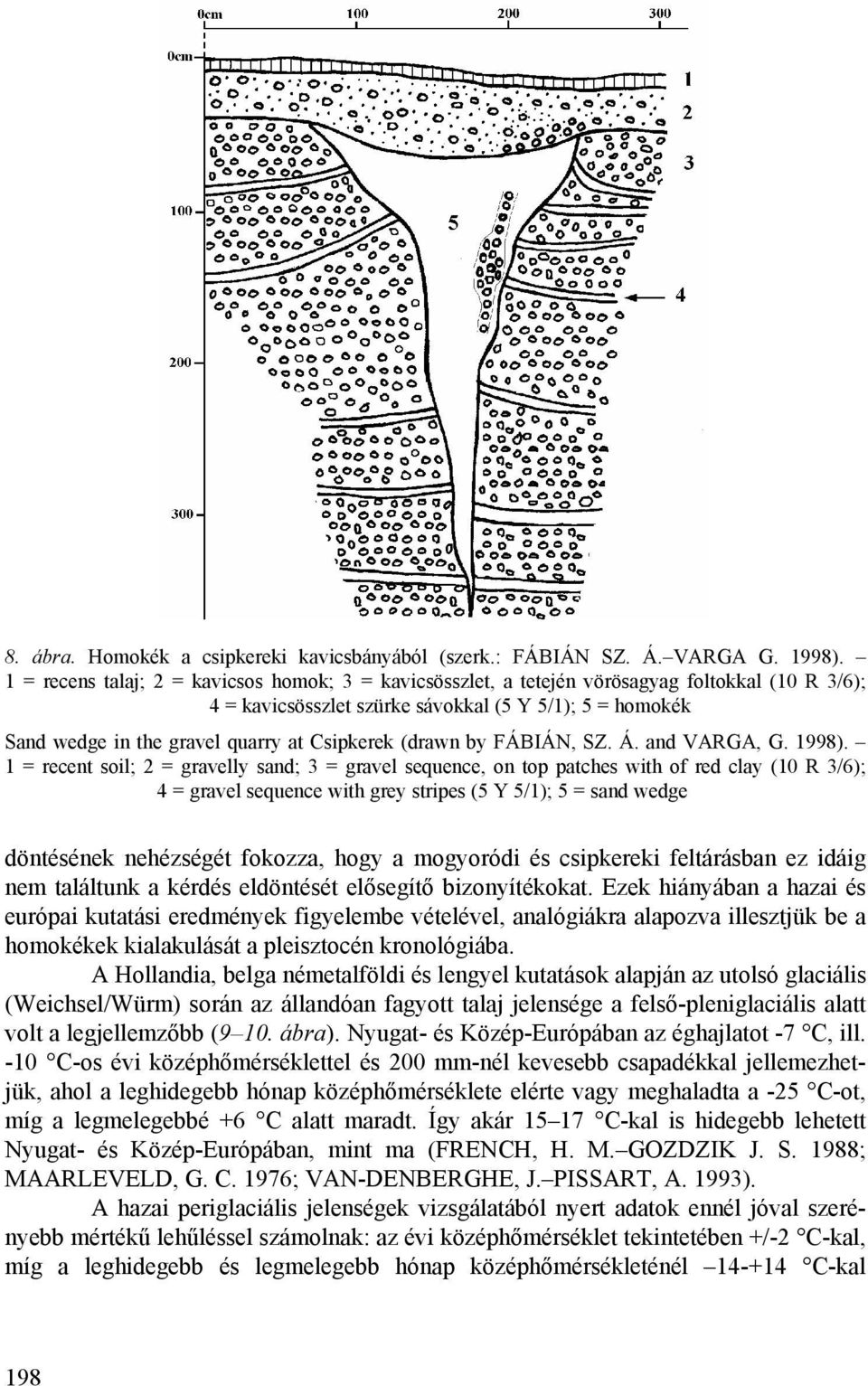 Csipkerek (drawn by FÁBIÁN, SZ. Á. and VARGA, G. 1998).