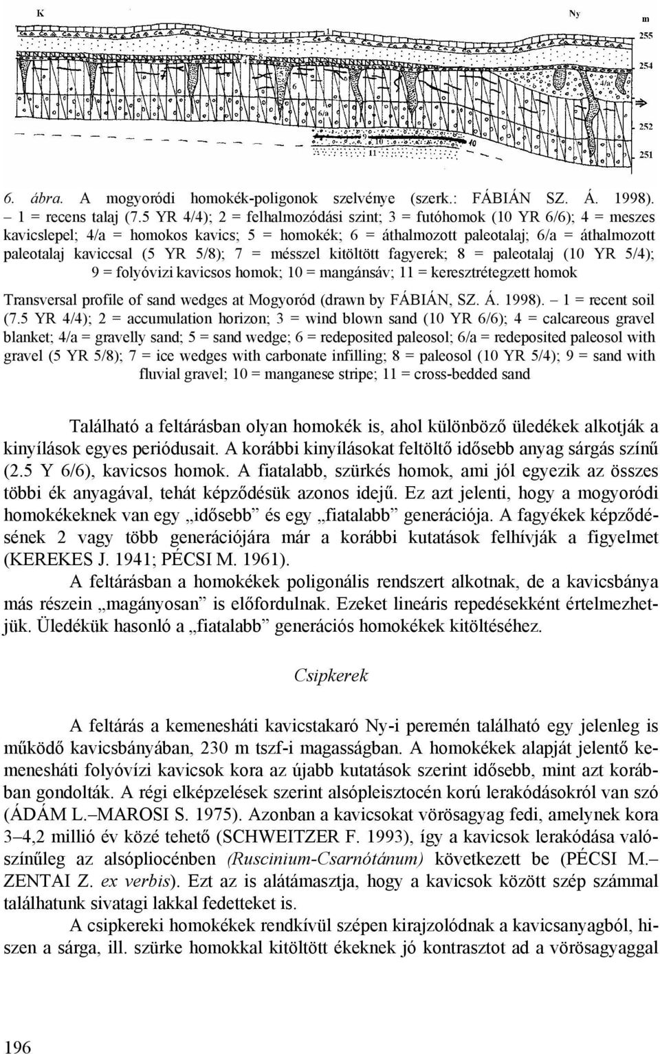 5/8); 7 = mésszel kitöltött fagyerek; 8 = paleotalaj (10 YR 5/4); 9 = folyóvizi kavicsos homok; 10 = mangánsáv; 11 = keresztrétegzett homok Transversal profile of sand wedges at Mogyoród (drawn by
