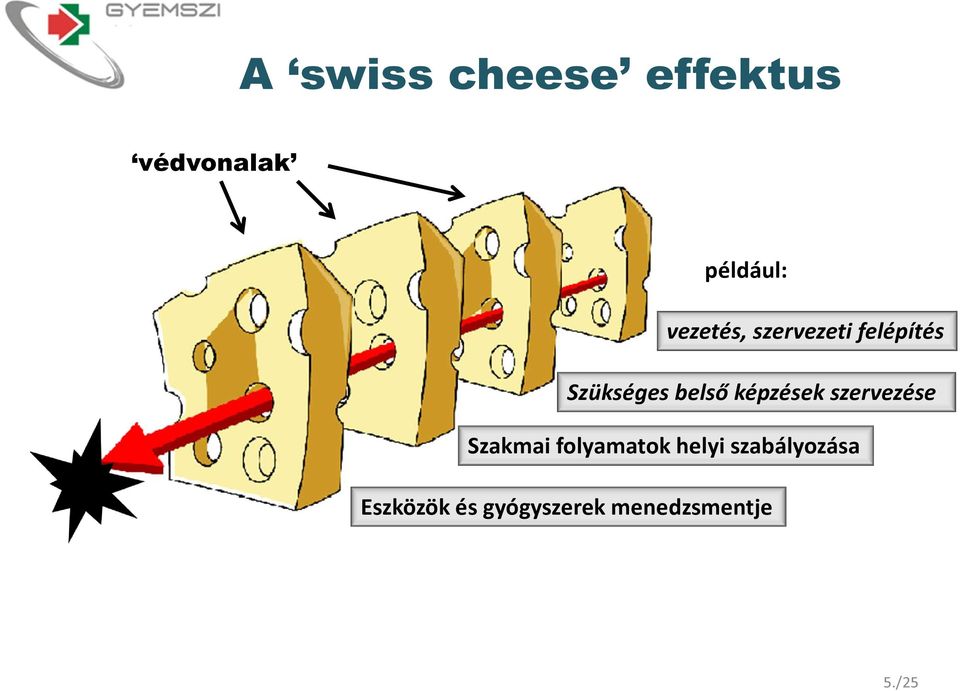 képzések szervezése Szakmai folyamatok helyi