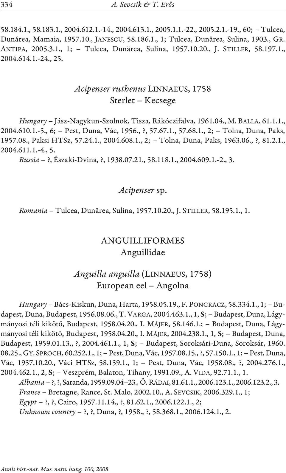 Acipenser ruthenus LINNAEUS, 1758 Sterlet Kecsege Hungary Jász-Nagykun-Szolnok, Tisza, Rákóczifalva, 1961.04., M. BALLA, 61.1.1., 2004.610.1.-5., 6; Pest, Duna, Vác, 1956.,?, 57.67.1., 57.68.1., 2; Tolna, Duna, Paks, 1957.