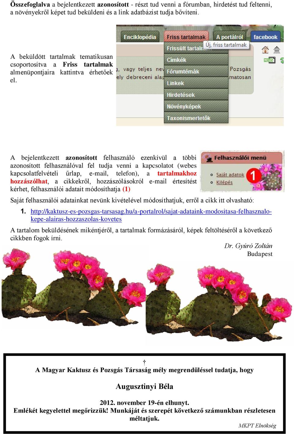 A bejelentkezett azonosított felhasználó ezenkívül a többi azonosított felhasználóval fel tudja venni a kapcsolatot (webes kapcsolatfelvételi űrlap, e-mail, telefon), a tartalmakhoz hozzászólhat, a