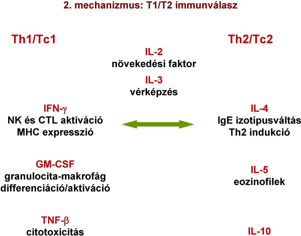 Th2/Tc2 IL-4 IgE izotípusváltás Th2 indukció GM-CSF