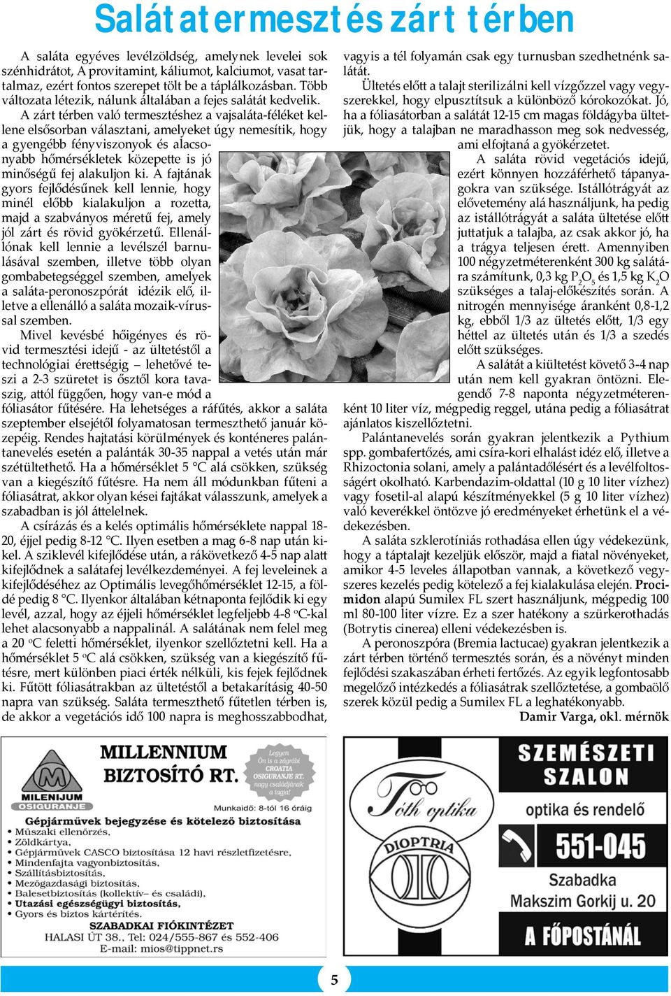 A zárt térben való termesztéshez a vajsaláta-féléket kellene elsősorban választani, amelyeket úgy nemesítik, hogy a gyengébb fényviszonyok és alacsonyabb hőmérsékletek közepette is jó minőségű fej
