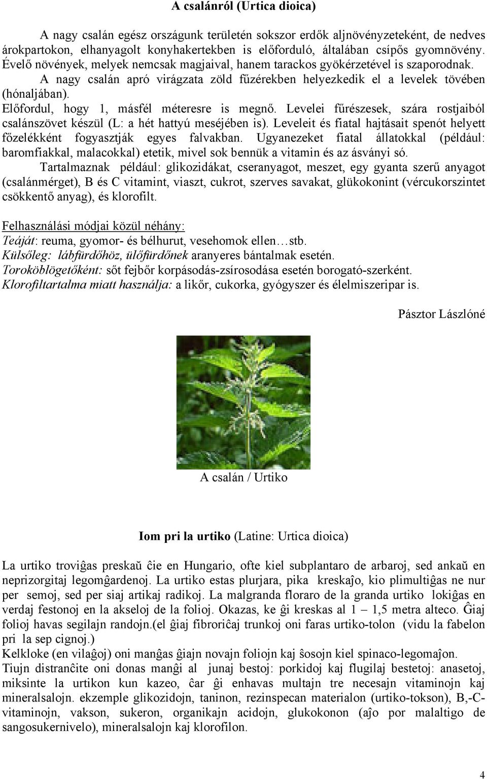 Előfordul, hogy 1, másfél méteresre is megnő. Levelei fűrészesek, szára rostjaiból csalánszövet készül (L: a hét hattyú meséjében is).