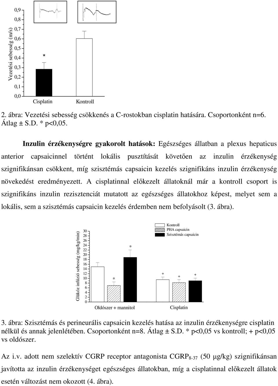szisztémás capsaicin kezelés szignifikáns inzulin érzékenység növekedést eredményezett.