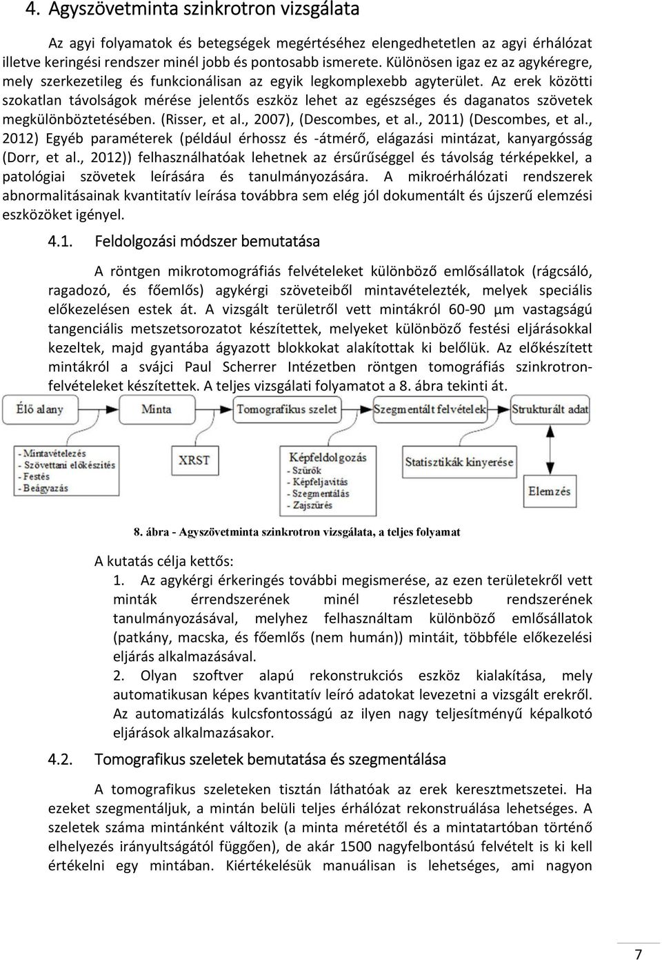 Az erek közötti szokatlan távolságok mérése jelentős eszköz lehet az egészséges és daganatos szövetek megkülönböztetésében. (Risser, et al., 2007), (Descombes, et al., 2011) (Descombes, et al.