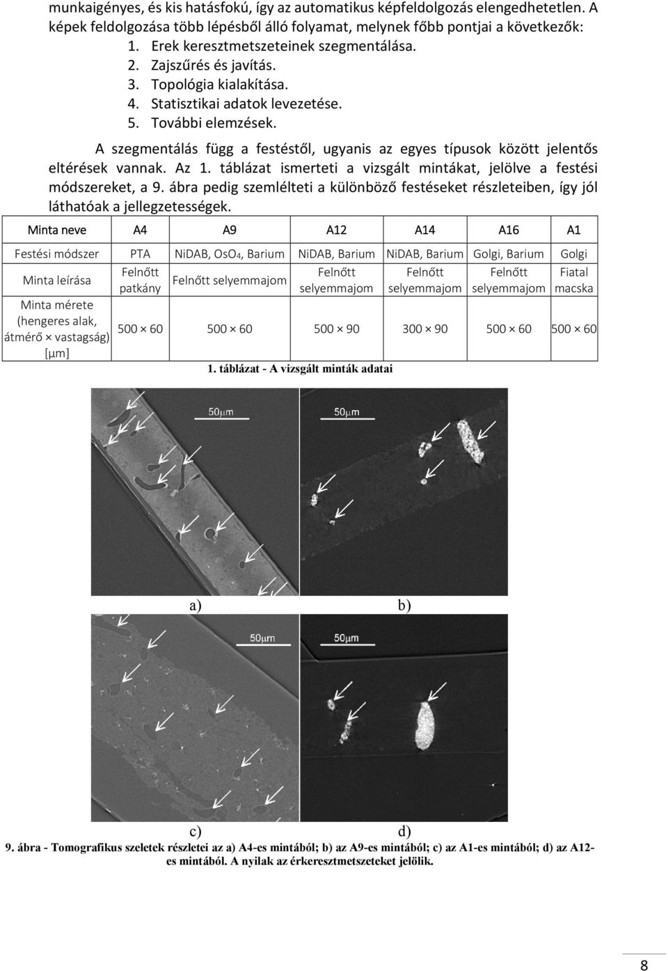 A szegmentálás függ a festéstől, ugyanis az egyes típusok között jelentős eltérések vannak. Az 1. táblázat ismerteti a vizsgált mintákat, jelölve a festési módszereket, a 9.