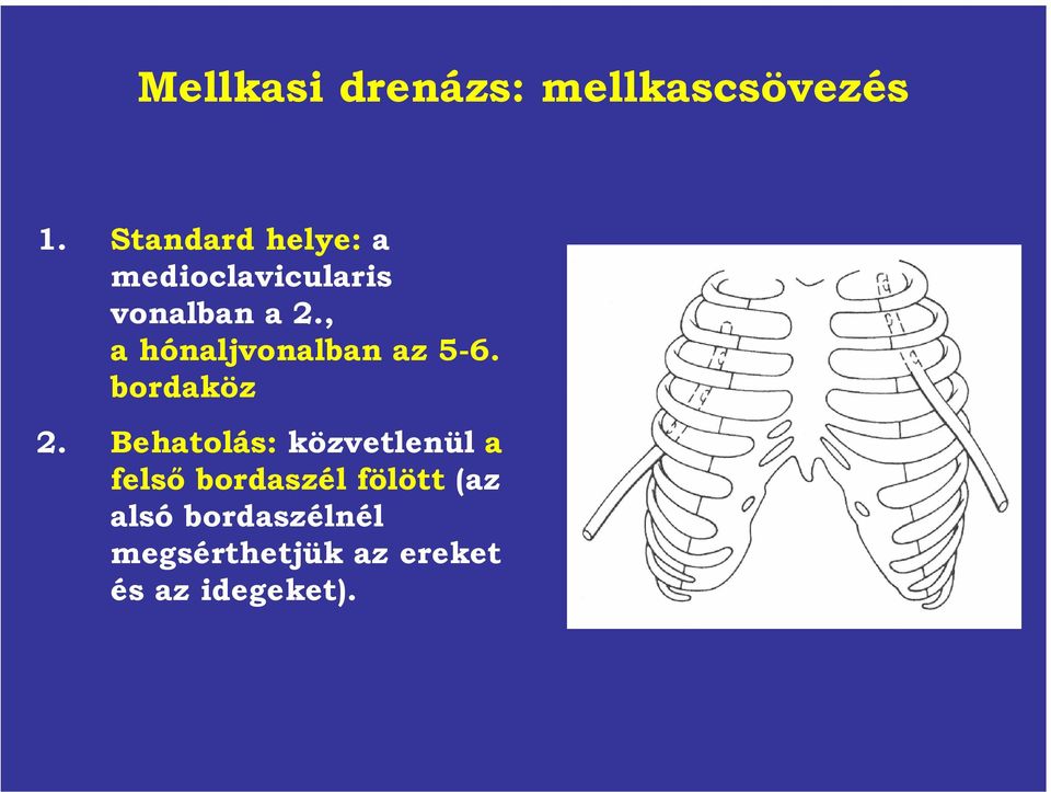 , a hónaljvonalban az 5-6. bordaköz 2.