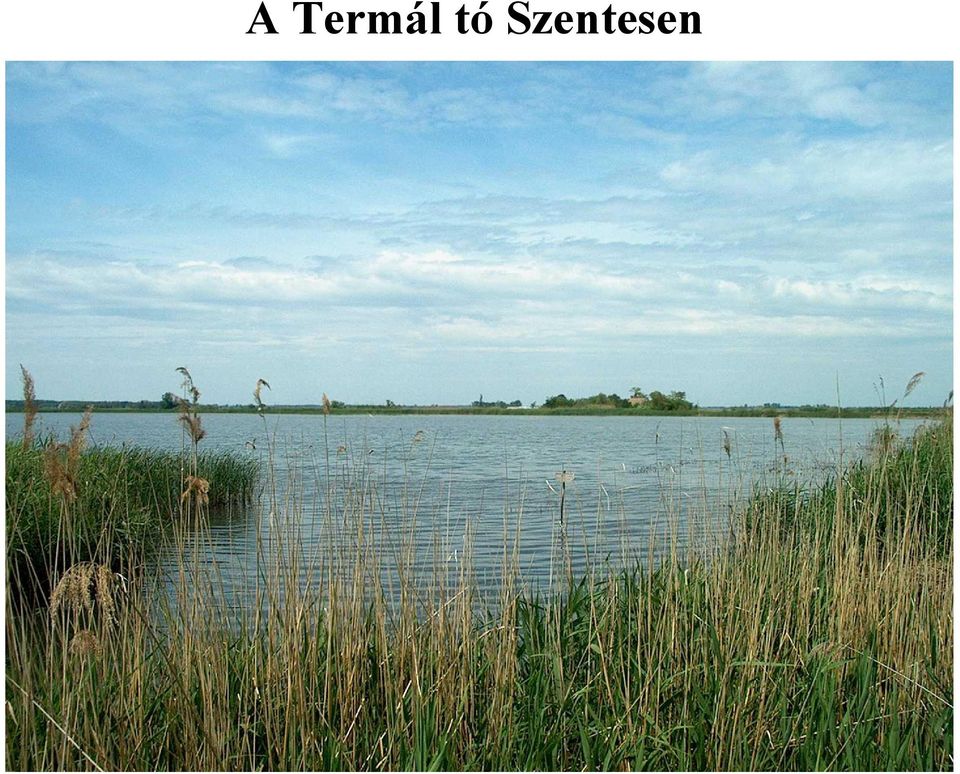 Szentesen