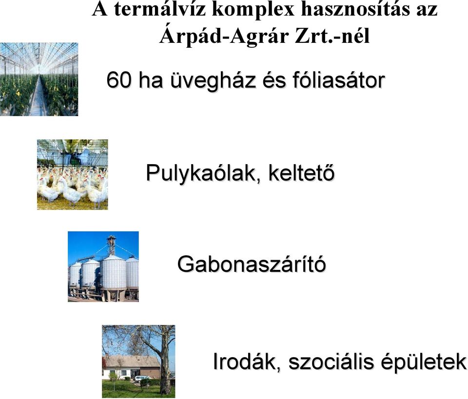 -nél 60 ha üvegház és fóliasátor