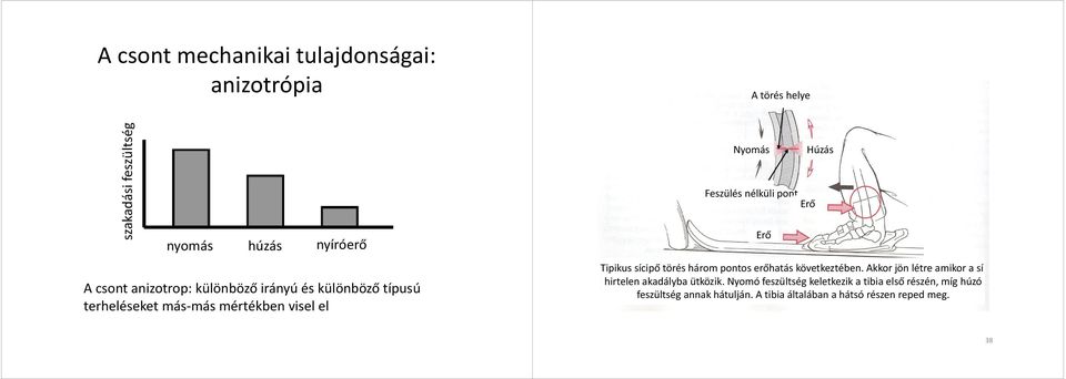 Tipikus sícipő töés háom pontos eőhatás következtében. Akko jön léte amiko a sí hitelen akadályba ütközik.