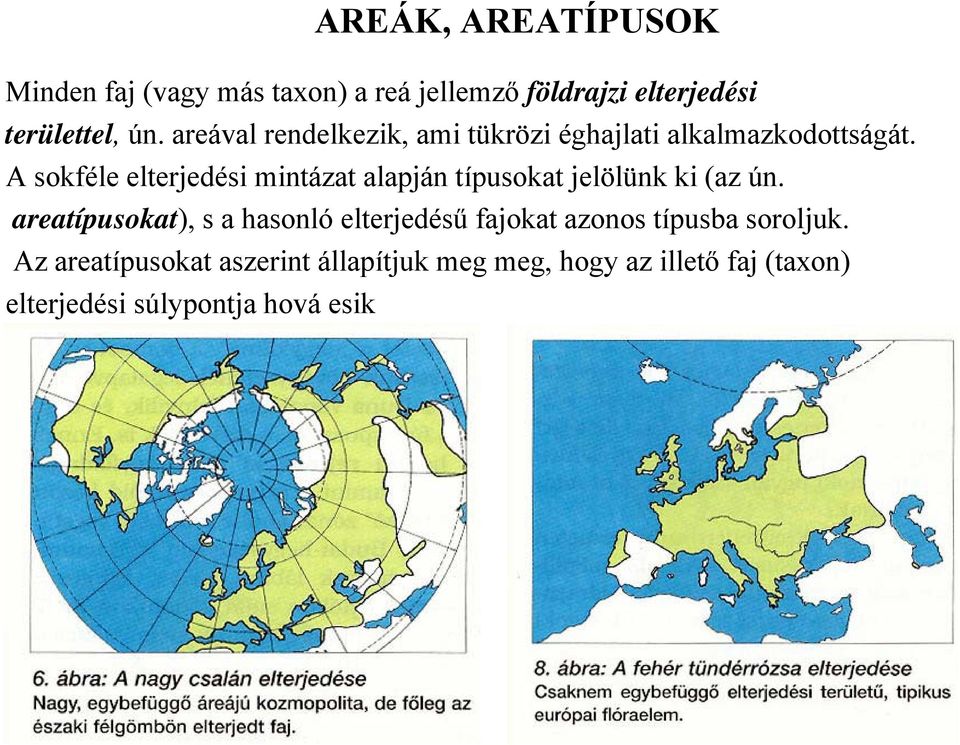 A sokféle elterjedési mintázat alapján típusokat jelölünk ki (az ún.