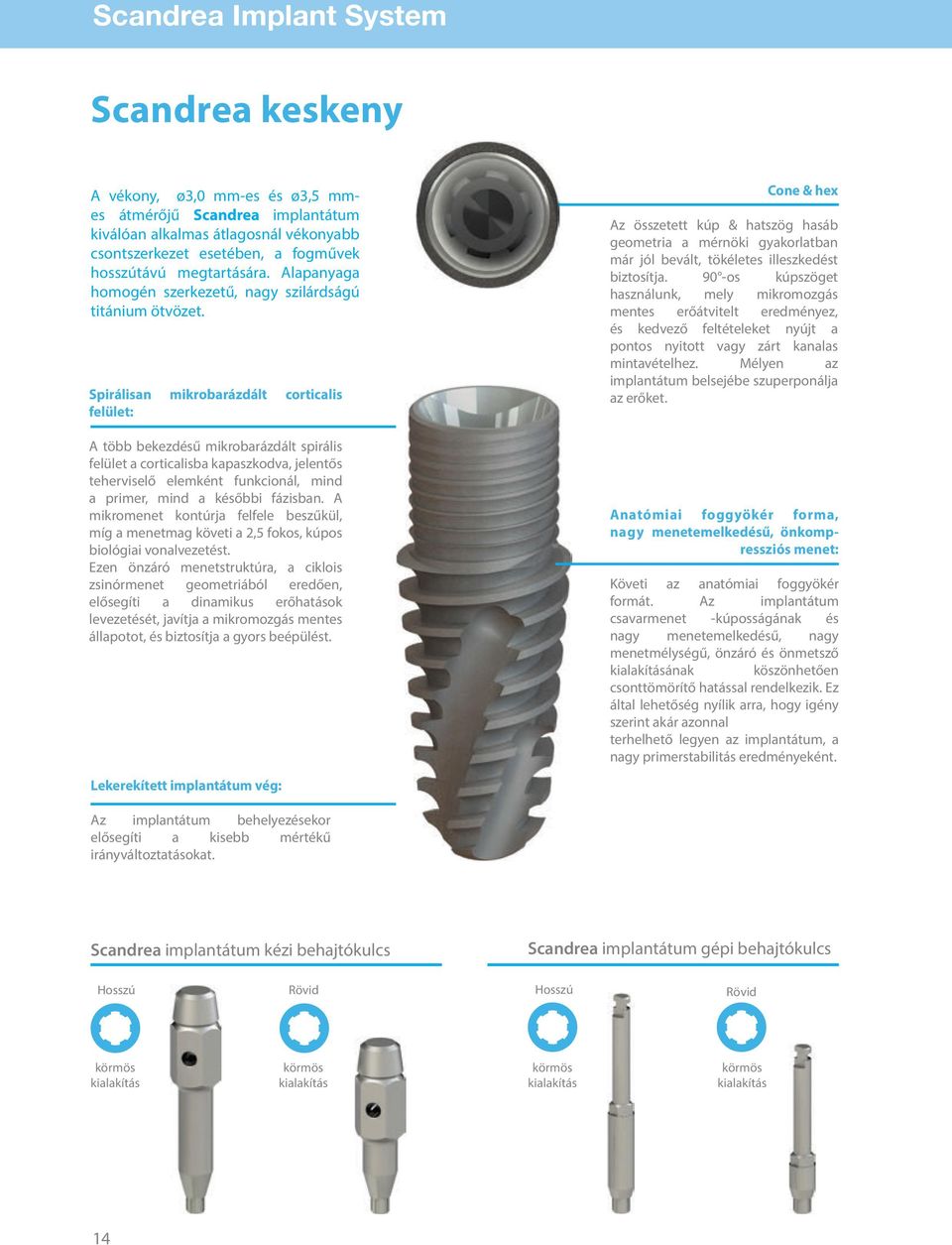 Spirálisan mikrobarázdált corticalis felület: A több bekezdésű mikrobarázdált spirális felület a corticalisba kapaszkodva, jelentős teherviselő elemként funkcionál, mind a primer, mind a későbbi