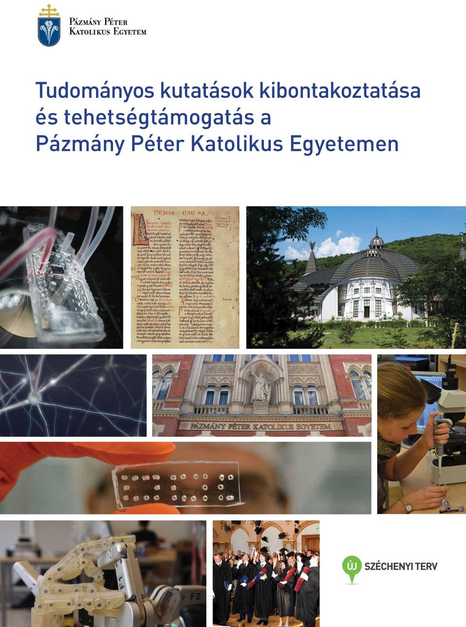 tehetségtámogatás a