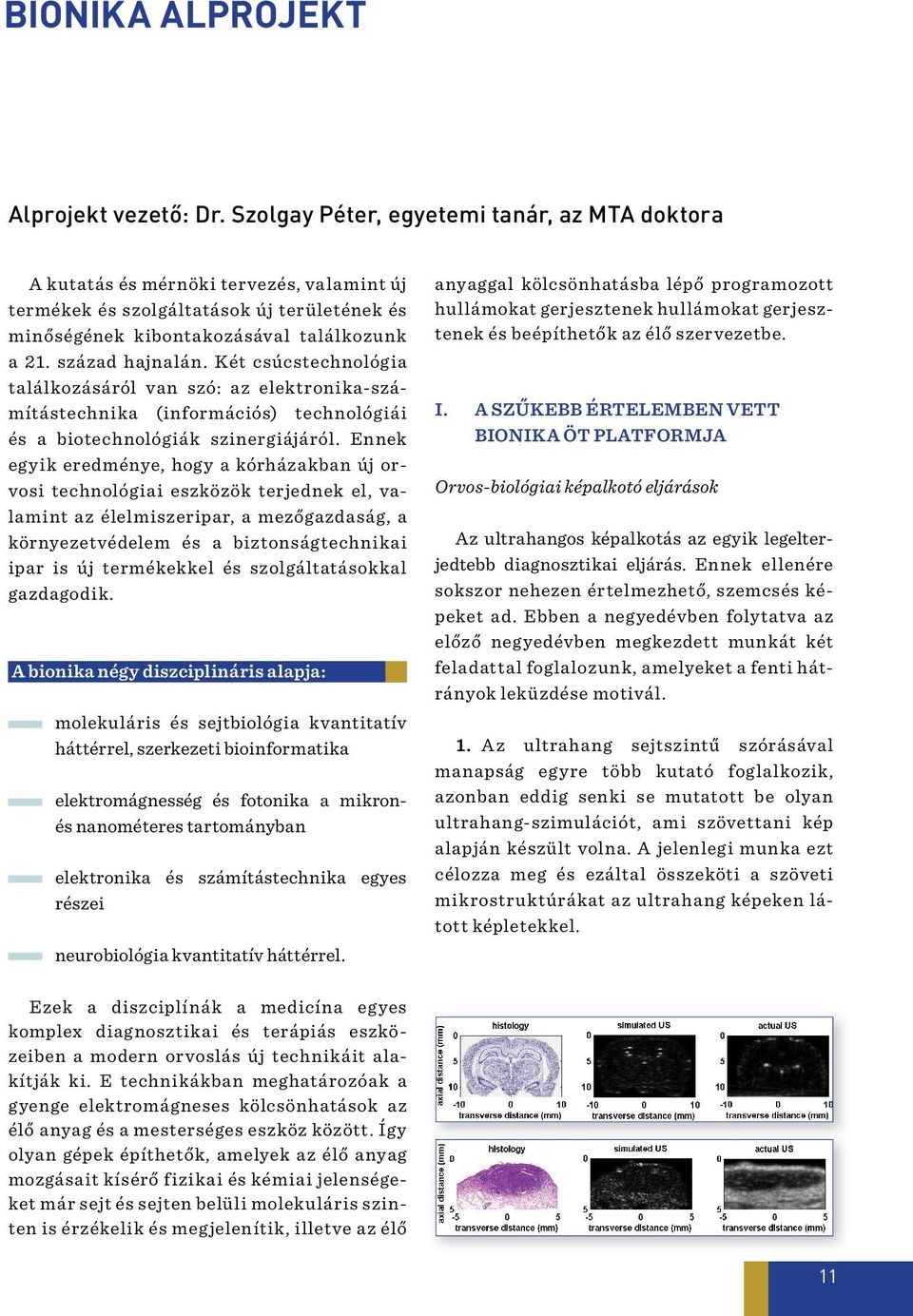 Két csúcstechnológia találkozásáról van szó: az elektronika-számítástechnika (információs) technológiái és a biotechnológiák szinergiájáról.