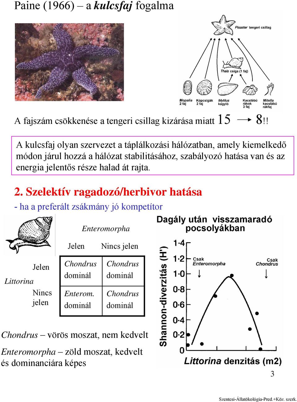 az energia jelentős része halad át rajta. 2.