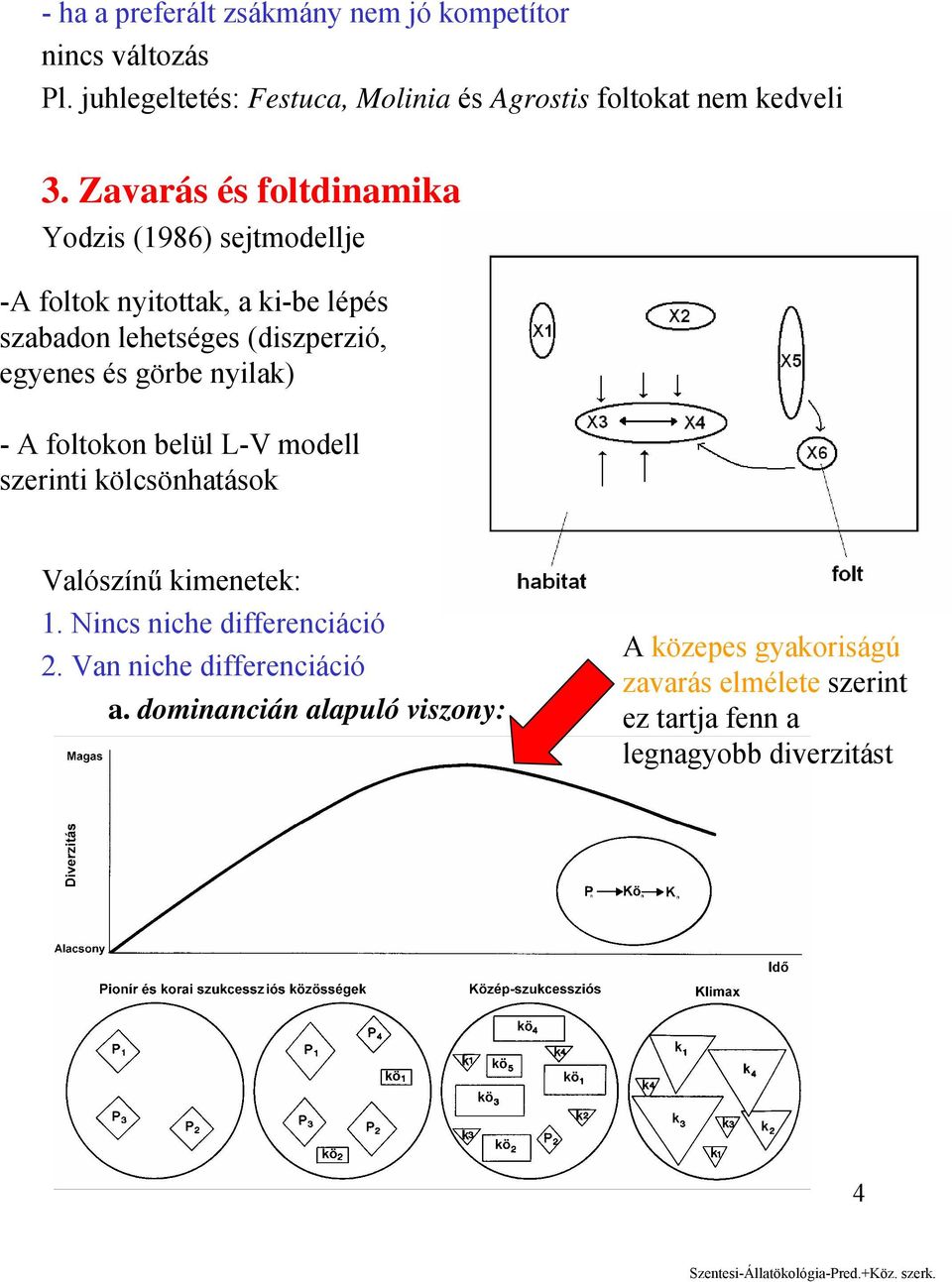 görbe nyilak) - A foltokon belül L-V modell szerinti kölcsönhatások Valószínű kimenetek: 1. Nincs niche differenciáció 2.