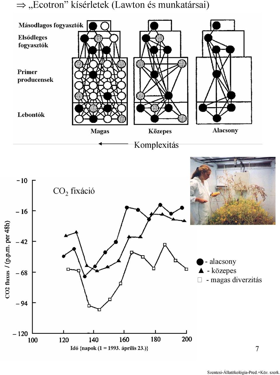 CO 2 fixáció - alacsony -