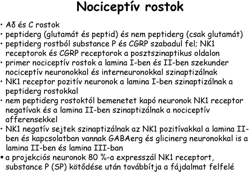 szinaptizálnak a peptiderg rostokkal nem peptiderg rostoktól bemenetet kapó neuronok NK1 receptor negatívak és a lamina II-ben szinaptizálnak a nociceptív afferensekkel NK1 negatív sejtek